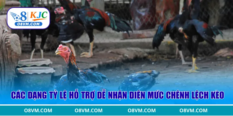 Các dạng tỷ lệ hỗ trợ dễ nhận diện mức chênh lệch kèo