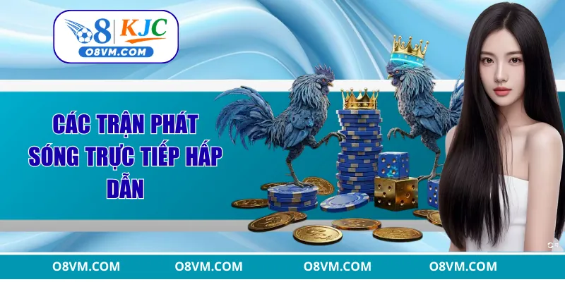 Các trận phát sóng trực tiếp hấp dẫn