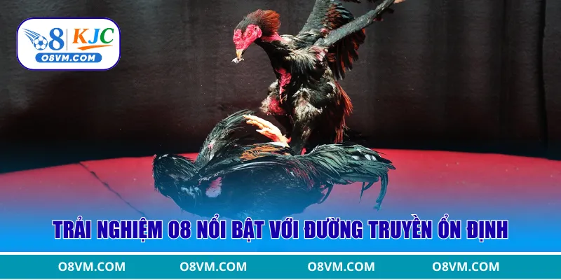 Trải nghiệm O8 nổi bật với đường truyền ổn định
